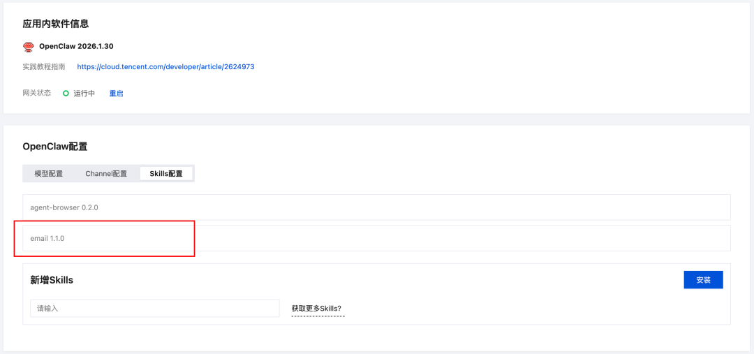 email Skill 安装完成后的状态